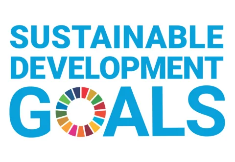 sdgs