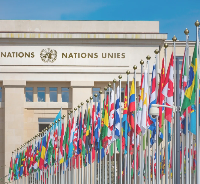 The United Nations Security Council